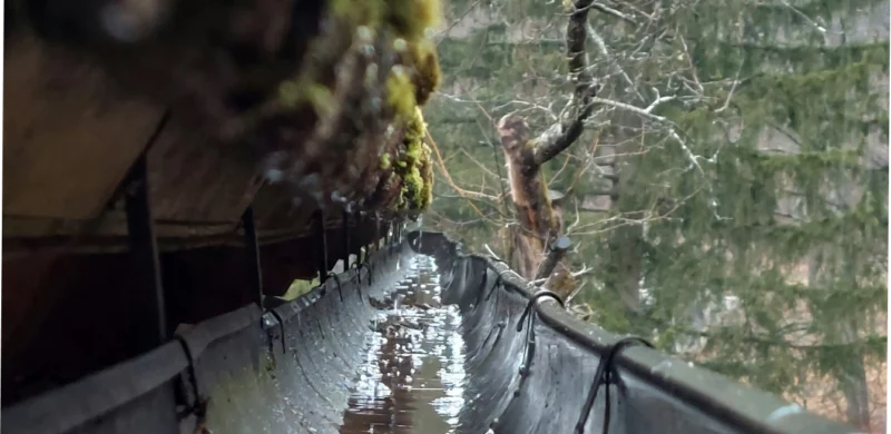 Down Spout Clearing