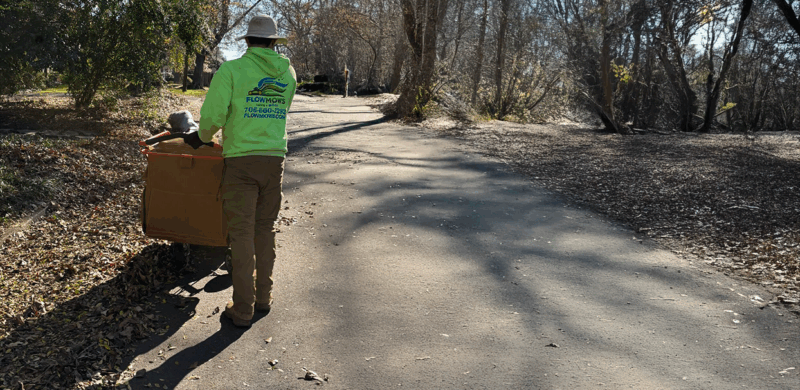 Leaf Removal & Yard Cleanup