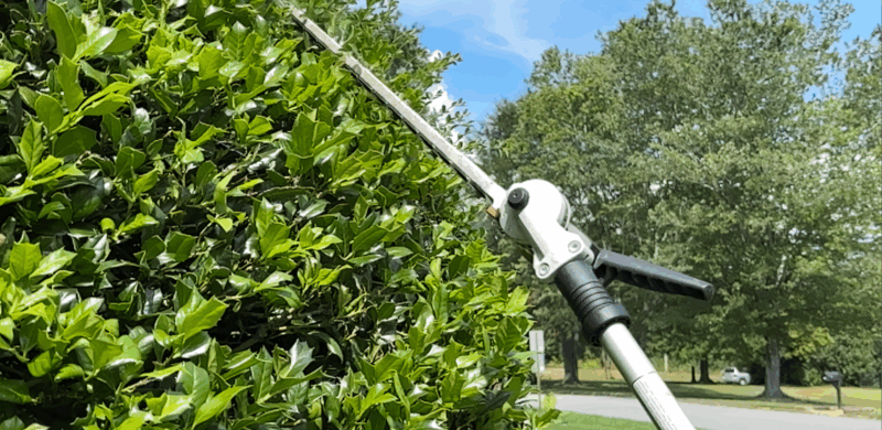 Bush & Hedges Trimming