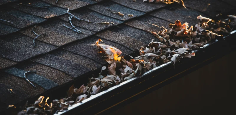 Gutter Inspection & Maintenance